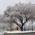 Chapel in the snow